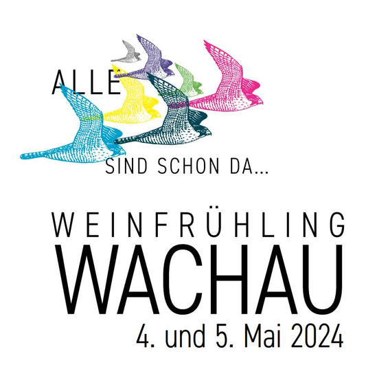 Eintrittsband Wachauer Weinfrühling 2024